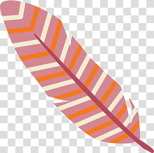 pattern line orange s.a., Cartoon Feather, Watercolor Feather, Vintage Feather, Orange Sa transparent background PNG clipart thumbnail