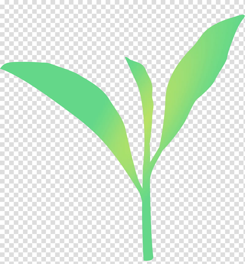 leaf green plant flower plant stem, Tea Leaves, Spring
, Watercolor, Paint, Wet Ink, Grass, Lily Of The Valley transparent background PNG clipart