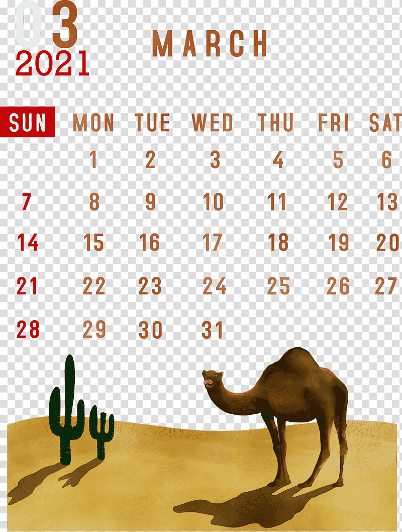 lunar calendar font meter calendar system month, March 2021 Printable Calendar, 2021 calendar, March Calendar, Watercolor, Paint, Wet Ink transparent background PNG clipart
