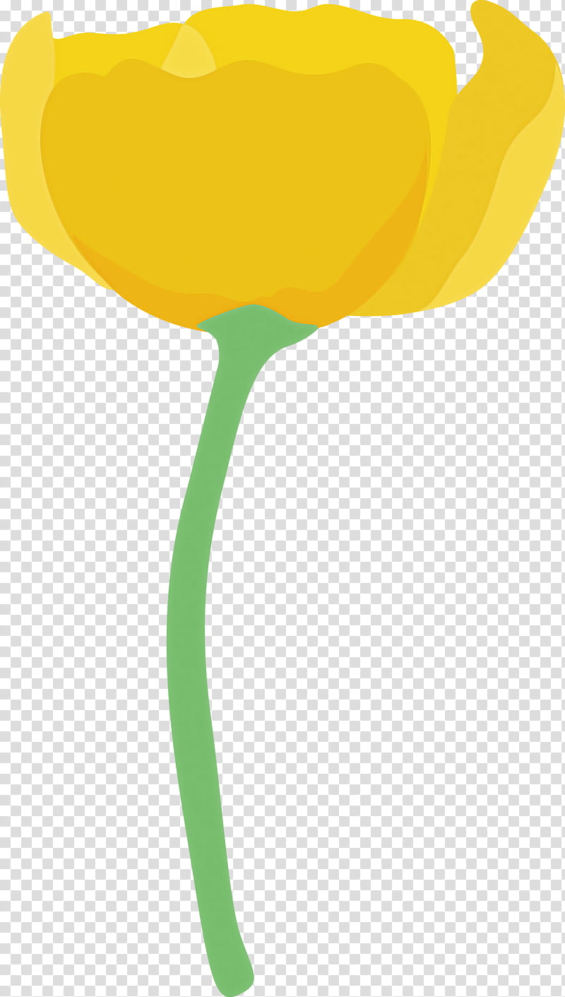 poppy flower, Yellow, Tulip, Plant, Lily Family, Plant Stem transparent background PNG clipart