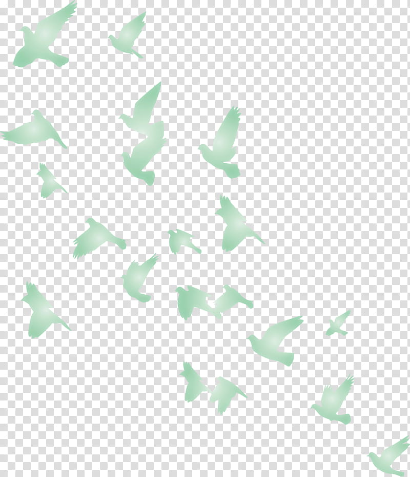 flying birds, Flying Birds Background, Leaf, Color, Architecture, Background INFORMATION, Landscape Architecture, Turquoise transparent background PNG clipart