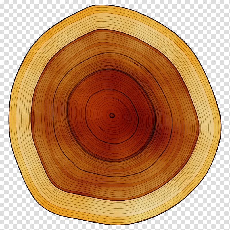 wood /m/083vt circle varnish tableware, Watercolor, Paint, Wet Ink, M083vt, Orange Sa, Mathematics, Precalculus transparent background PNG clipart