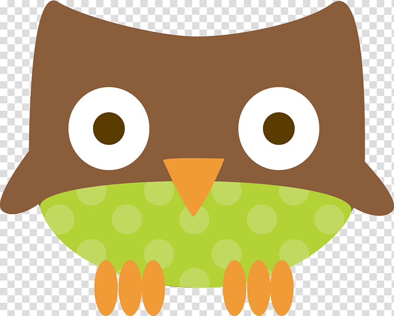 Birthday Animal, Owl, Bird, Little Owl, Barn Owl, Beak, Bird Of Prey, Green transparent background PNG clipart