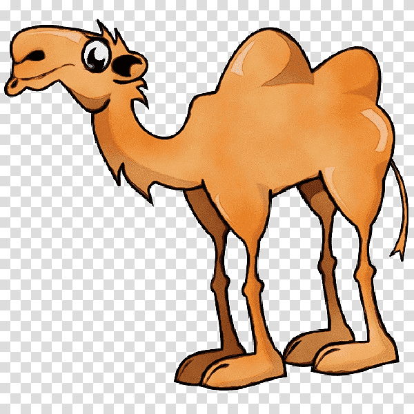 bactrian camel cartoon drawing humour silhouette, Watercolor, Paint, Wet Ink, Camels transparent background PNG clipart