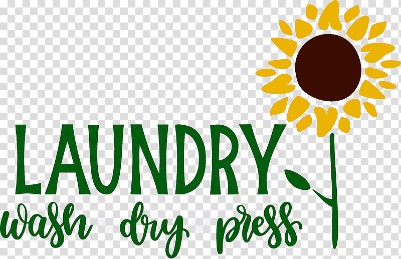 Laundry Wash Dry, Press, Daisy Family, Cut Flowers, Floral Design, Logo, Sunflower Seeds transparent background PNG clipart