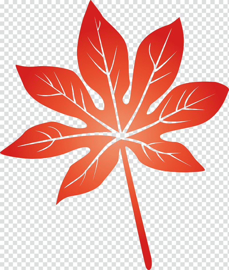 leaf, Flower, Symmetry, Petal, Maple Leaf M, Plant, Plant Structure transparent background PNG clipart