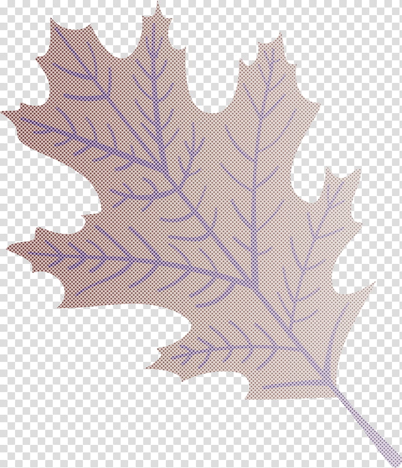 Autumn Leaf Colourful Foliage Colorful Leaves, COLORFUL LEAF, Autumn Leaf Color, Plant Stem, Maple Leaf, Drawing, Deciduous, Plants transparent background PNG clipart