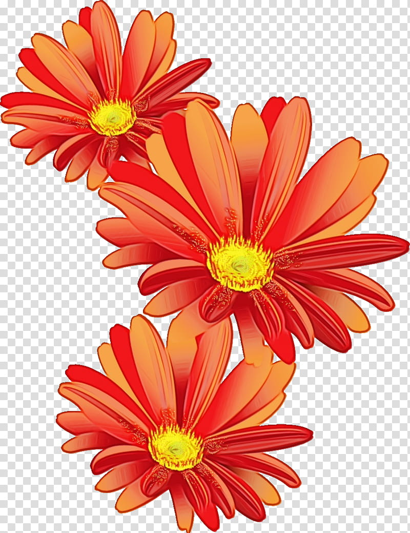 Orange, Gerbera, Daisy, Marguerite, Flower, Watercolor, Paint, Wet Ink transparent background PNG clipart