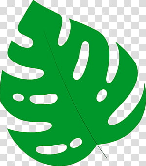 leaf plant stem root flower branch, Tree, Green, Petal, Morning Glory, Plant Structure, Plants, Biology transparent background PNG clipart thumbnail