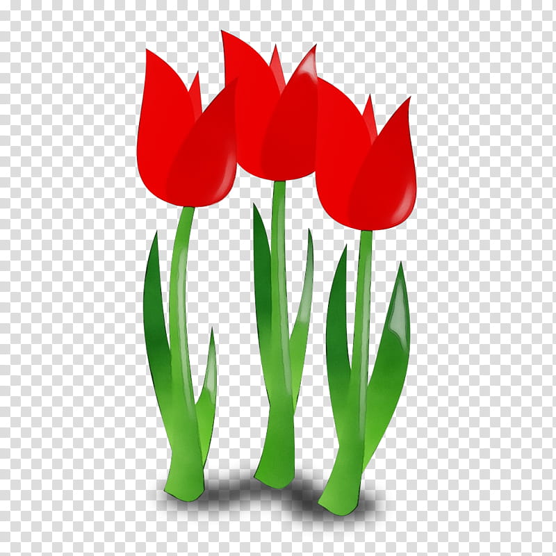 tulip flower red plant petal, Watercolor, Paint, Wet Ink, Lady Tulip, Leaf, Lily Family, Plant Stem transparent background PNG clipart