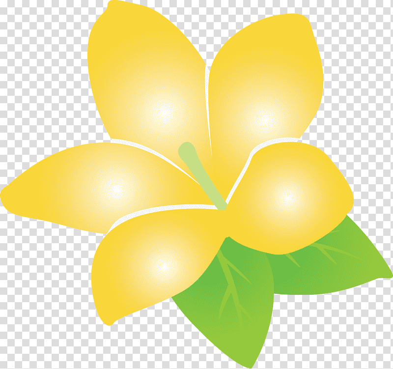 jasmine jasmine flower, Leaf, Petal, Pollinator, Yellow, Pollination, Fruit transparent background PNG clipart