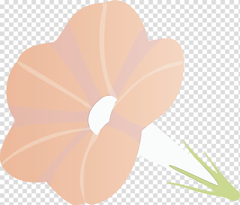 petal flower plant leaf peach, Morning Glory Flower, Watercolor, Paint, Wet Ink, Herbaceous Plant transparent background PNG clipart