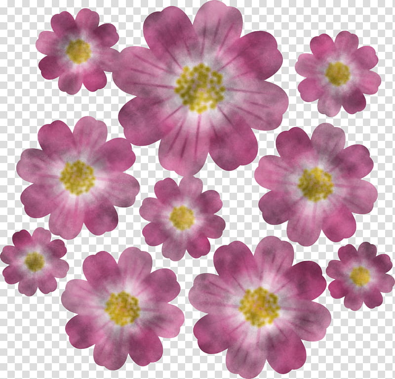 flower petal plant pink japanese anemone, Garden Cosmos, Wildflower, Herbaceous Plant, Daisy Family, Primula, Annual Plant, Cut Flowers transparent background PNG clipart