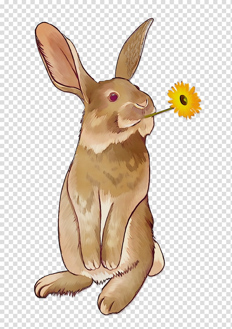 Bugs Bunny, Watercolor, Paint, Wet Ink, Hare, Rabbit, European Rabbit, Drawing transparent background PNG clipart