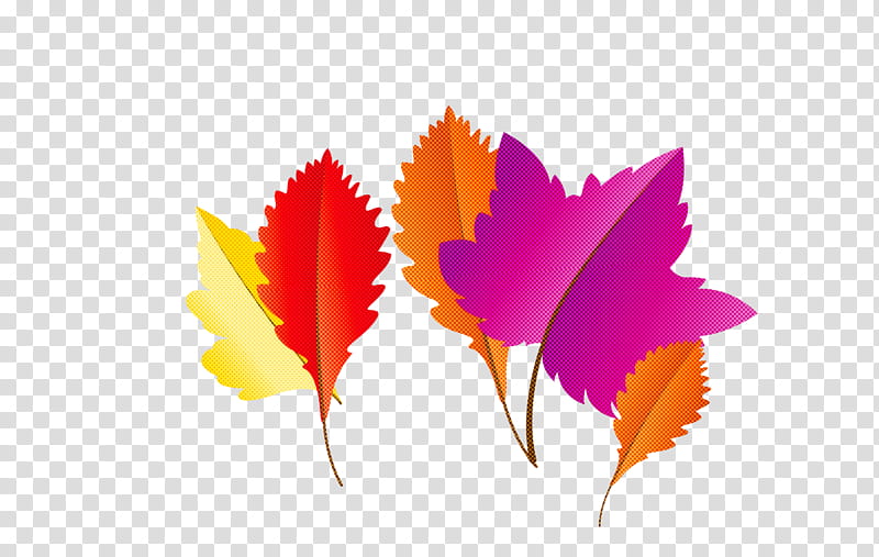 Maple leaf, Autumn Leaf, Fall Leaf, Cartoon Leaf, Alocasia, Fern, Petal, Computer transparent background PNG clipart