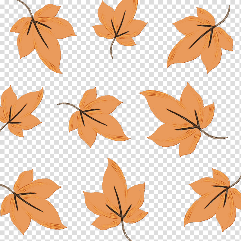 leaf flower tree twig petal, Watercolor, Paint, Wet Ink, Maple Leaf M, Line, Plants transparent background PNG clipart