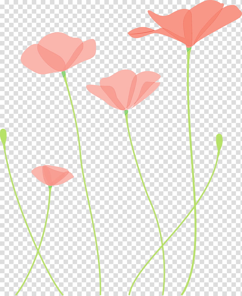 plant stem flower plant pedicel coquelicot, Poppy Flower, Watercolor, Paint, Wet Ink, Petal, Poppy Family, Wildflower transparent background PNG clipart