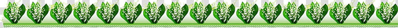 flower border flower background floral line, Green, Text transparent background PNG clipart