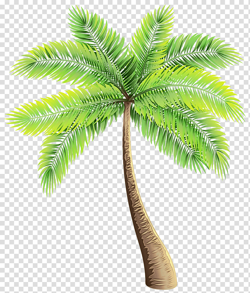 Coconut, Watercolor, Paint, Wet Ink, Asian Palmyra Palm, Cartoon, Party transparent background PNG clipart