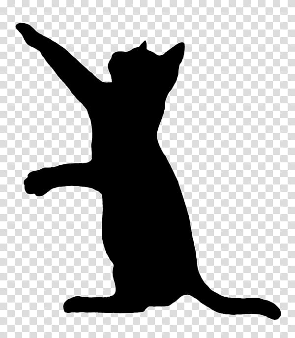 cat small to medium-sized cats silhouette tail black cat, Small To Mediumsized Cats, Blackandwhite, Jumping, Happy transparent background PNG clipart