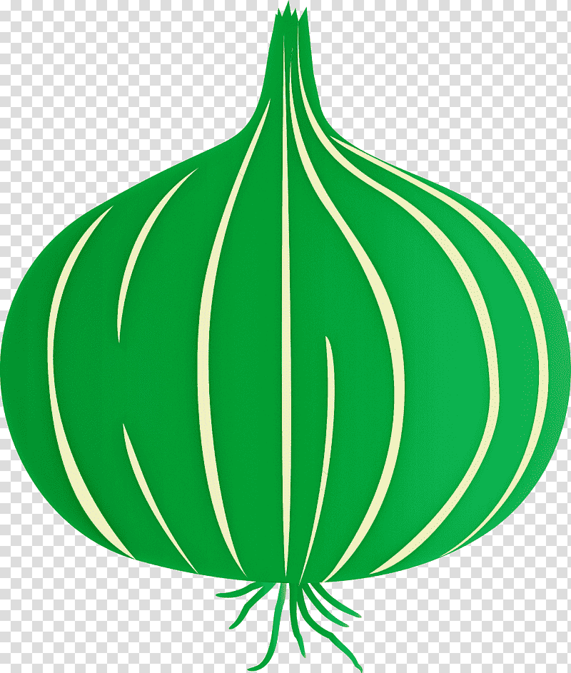 onion, Plant Stem, Leaf, Vegetable, Tree, Fruit, Green transparent background PNG clipart
