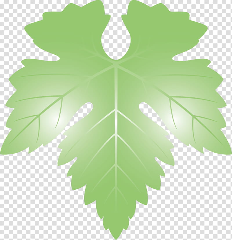 Grapes Leaf leaf, Green, Plant, Grape Leaves, Tree, Plane, Woody Plant, Flower transparent background PNG clipart