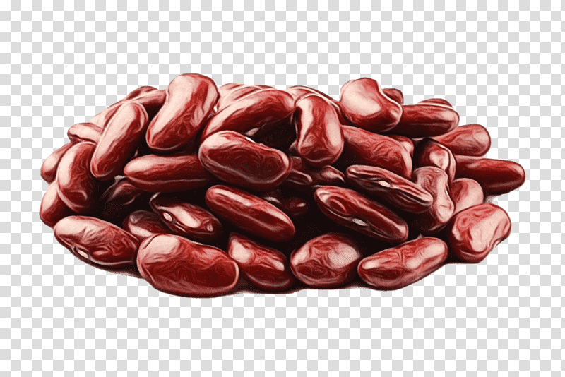 superfood nut commodity ingredient adzuki bean, Watercolor, Paint, Wet Ink, Seed transparent background PNG clipart