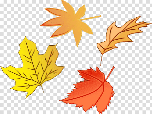 aqdr mékinac maple leaf / m tree / m school, Watercolor, Paint, Wet Ink, Maple Leaf M, Tree M, School transparent background PNG clipart