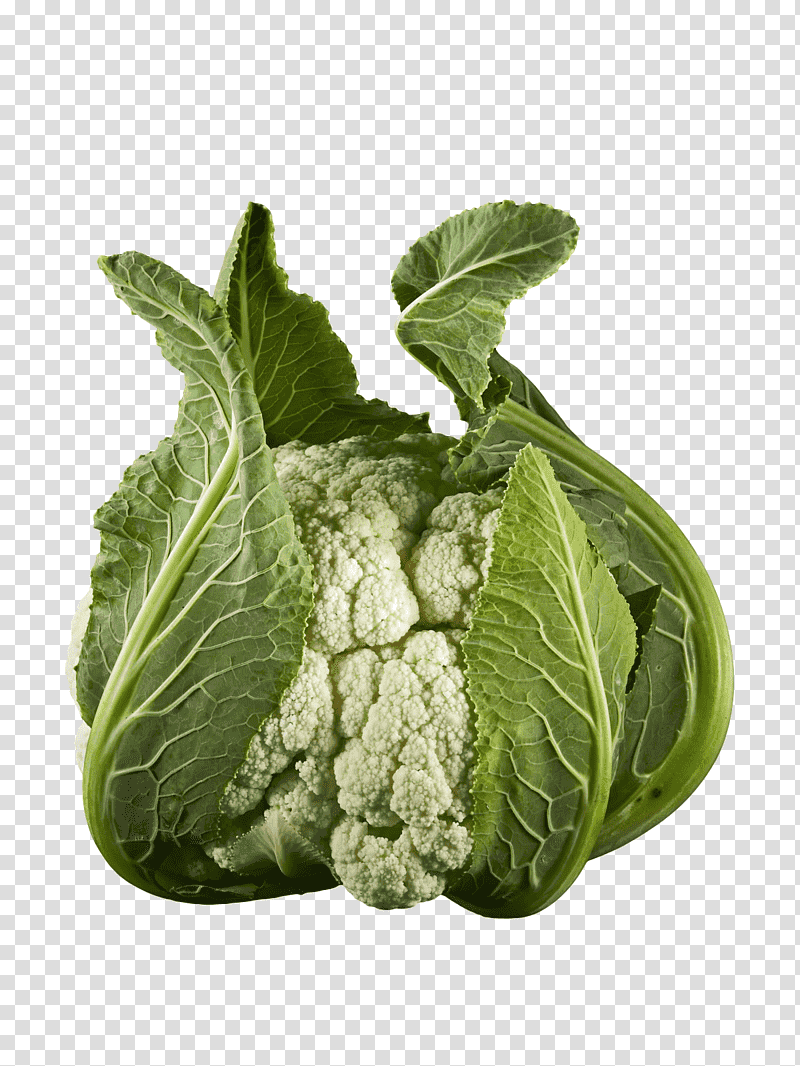 Cauliflower, Romaine Lettuce, Collard, Savoy Cabbage, Komatsuna, Spring Greens, Broccoli transparent background PNG clipart