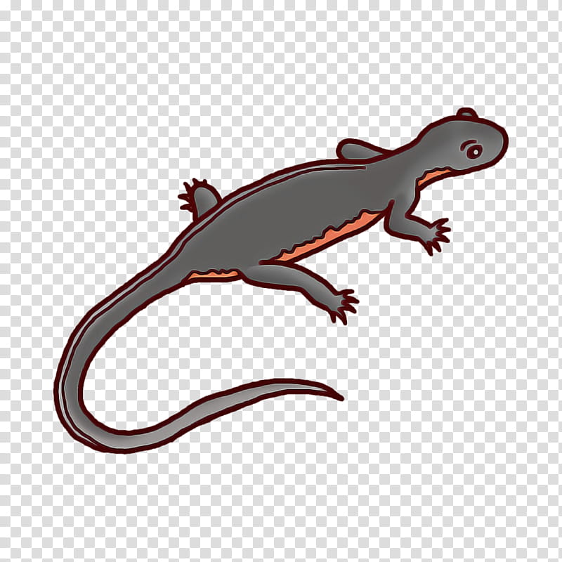 reptiles lizard chameleons common iguanas salamander, Gecko, Tokay Gecko, Lacertids, European Green Lizard, Panther Chameleon, Amphibians, True Geckos transparent background PNG clipart