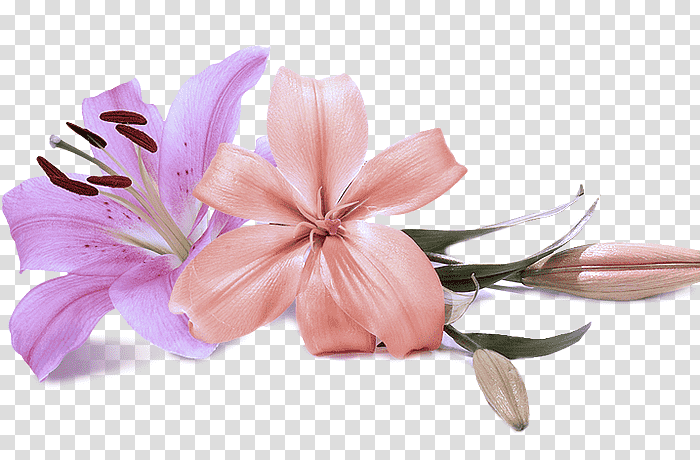 Artificial flower, pink and white flower illustration, Vase, Ceramic, Cut Flowers, Ceramic Flower Vase, Porcelain, Vase Keramik transparent background PNG clipart