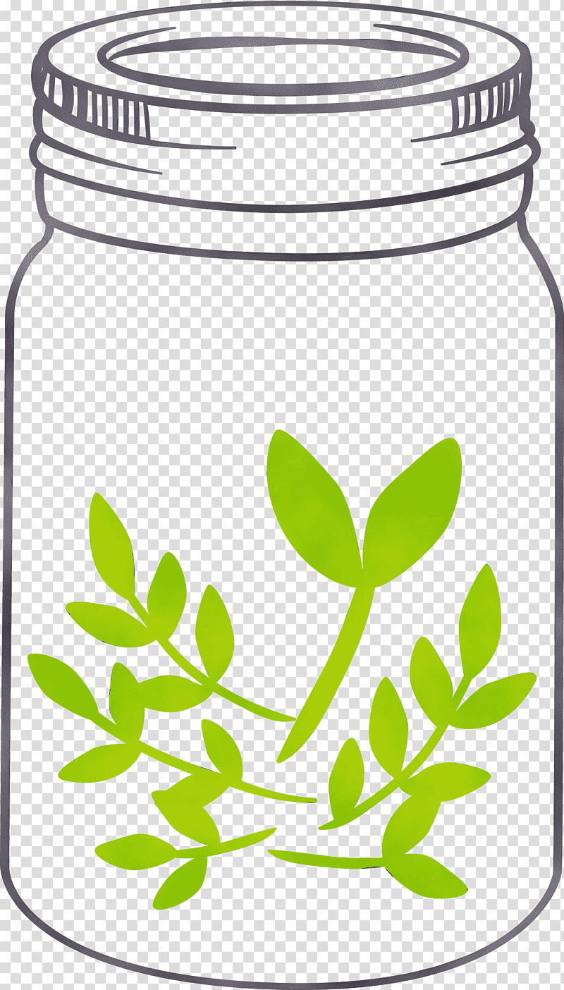 food storage containers leaf herbal medicine herb tree, Mason Jar, Watercolor, Paint, Wet Ink, Flower, Plants transparent background PNG clipart