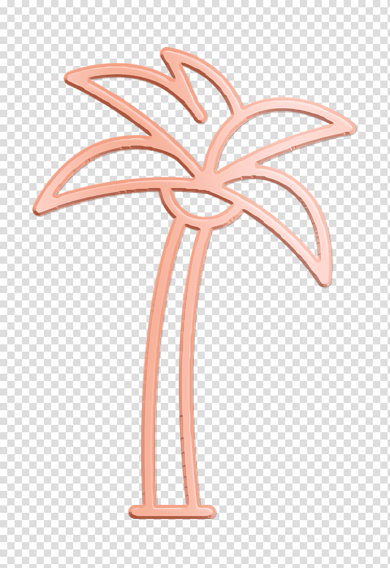 Animals and nature icon Palm tree icon Palm icon, Flower, Petal, Line, Peach, Plant, Geometry transparent background PNG clipart