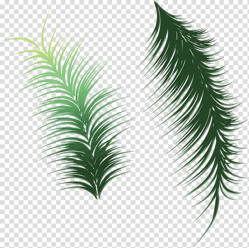Palm tree, Watercolor, Paint, Wet Ink, Leaf, Plant, Terrestrial Plant, Elaeis transparent background PNG clipart