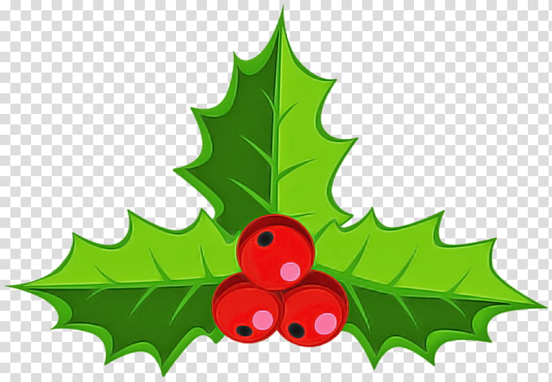 Holly, Leaf, Plant, American Holly, Tree, Plane, Hollyleaf Cherry transparent background PNG clipart