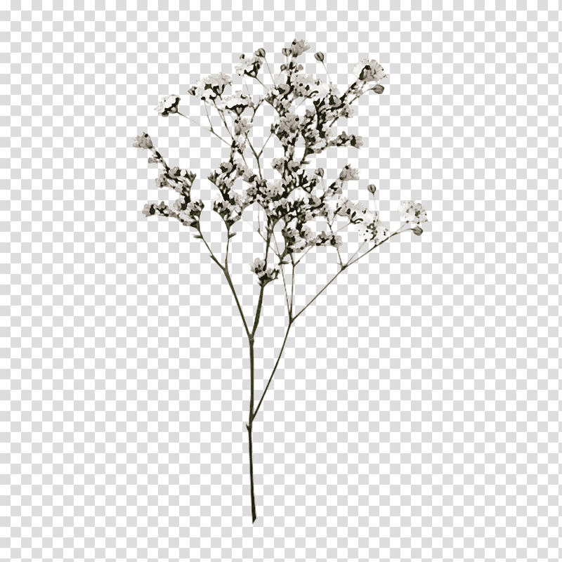 tree branch woody plant flower leaf, Oak, Flowering Dogwood, Shrub, Japanese Tree Lilac, Violet, Trunk transparent background PNG clipart