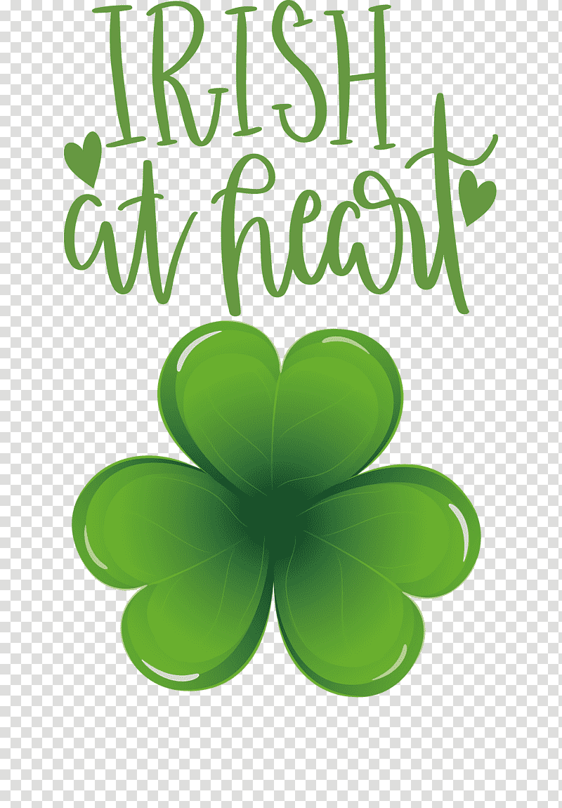 shamrock Irish Saint Patrick, Geometric Shape, Space, Annulus, Cone, Electrical Cable, Function transparent background PNG clipart