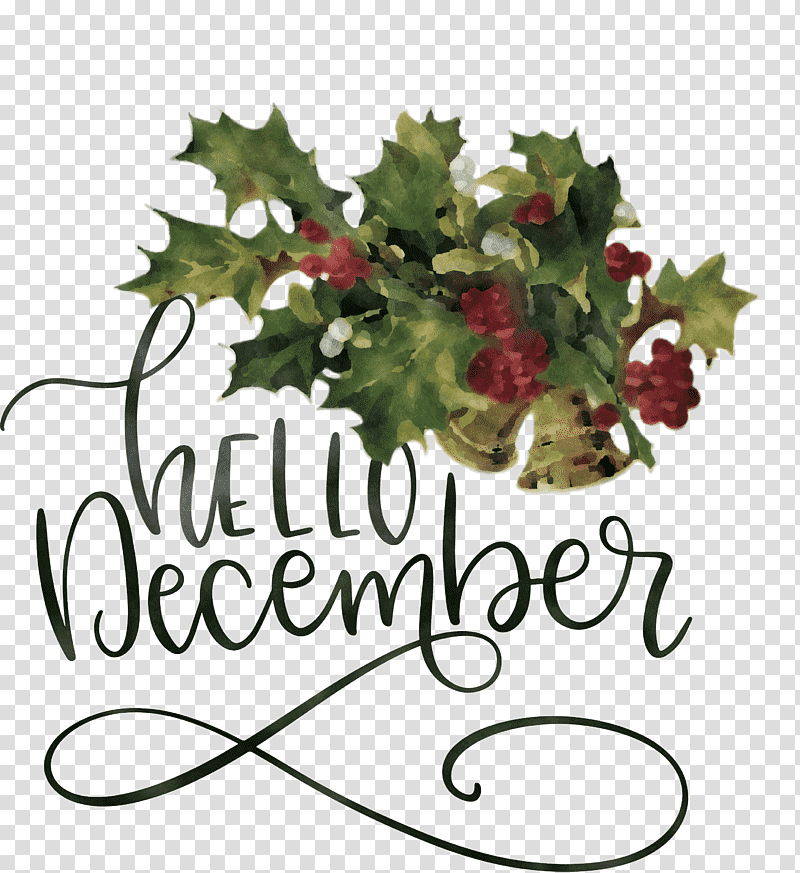 Hello December Winter December, Winter
, Holly, Cut Flowers, Grape, Christmas Ornament M, Aquifoliales transparent background PNG clipart
