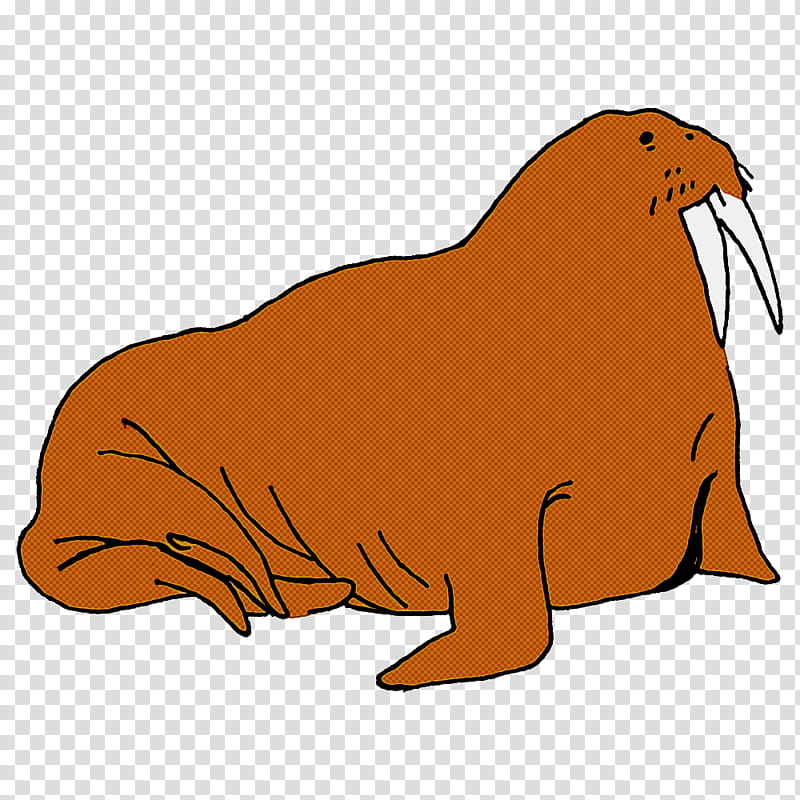 sea lions dog walrus whiskers cat, Drawing, Cartoon, Snout, Silhouette, Line Art, Wolf transparent background PNG clipart