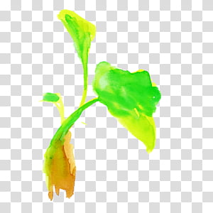 leaf flower plant plant stem, Watercolor Leaf transparent background PNG clipart thumbnail