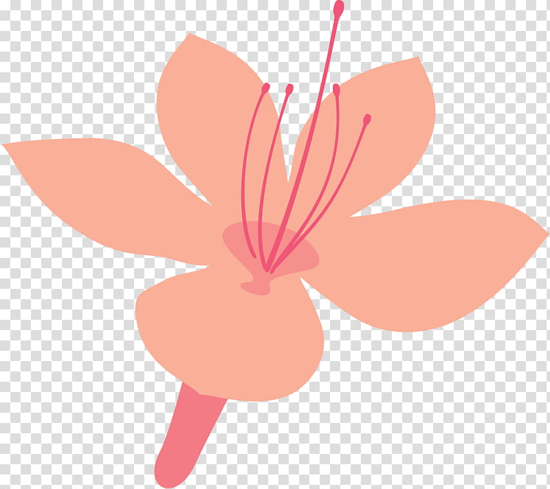 Azalea spring flower Azalea flower, Pink, Petal, Plant, Peach, Pedicel, Blossom transparent background PNG clipart