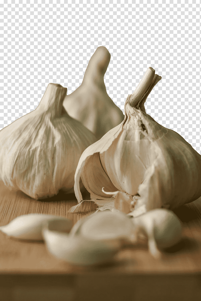 elephant garlic still life graphy garlic plants still life, Still Life , New Yorks 3rd Congressional District, Science, Biology transparent background PNG clipart