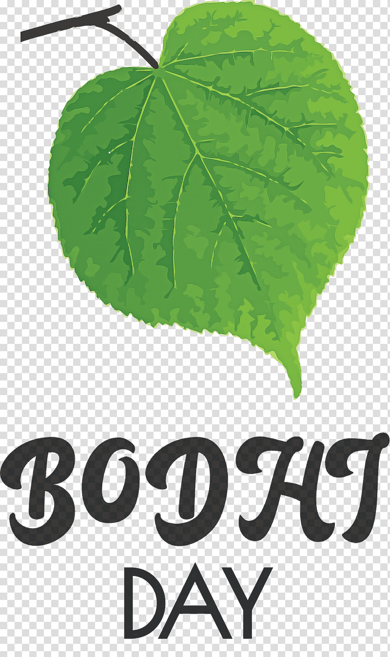 Bodhi Day Bodhi, Leaf, Green, Lindens, Mtree, Meter, Plant Structure transparent background PNG clipart