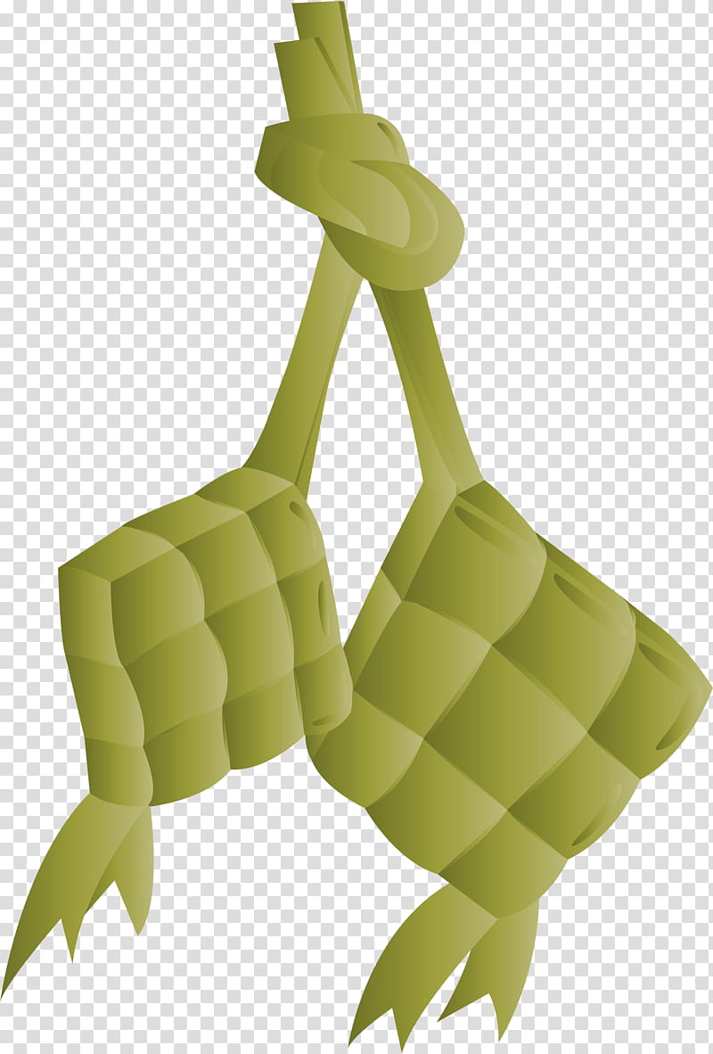 Ketupat, Leaf, Plant Stem, Tree, Houseplant, Grasses, Liana, Guiana Chestnut transparent background PNG clipart