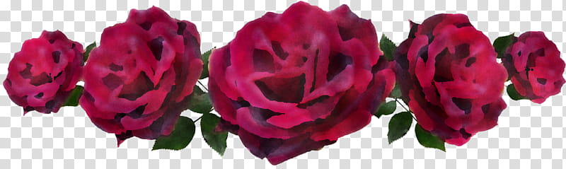 Garden roses, Flower, Floral Design, Cut Flowers, Flower Bouquet, Artificial Flower, Petal, Jmc Floral transparent background PNG clipart