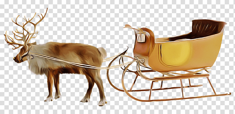 Reindeer, Table, March 27, Science, Biology transparent background PNG clipart