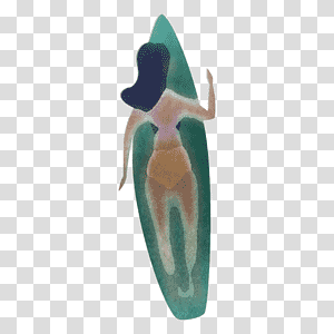 turquoise transparent background PNG clipart thumbnail