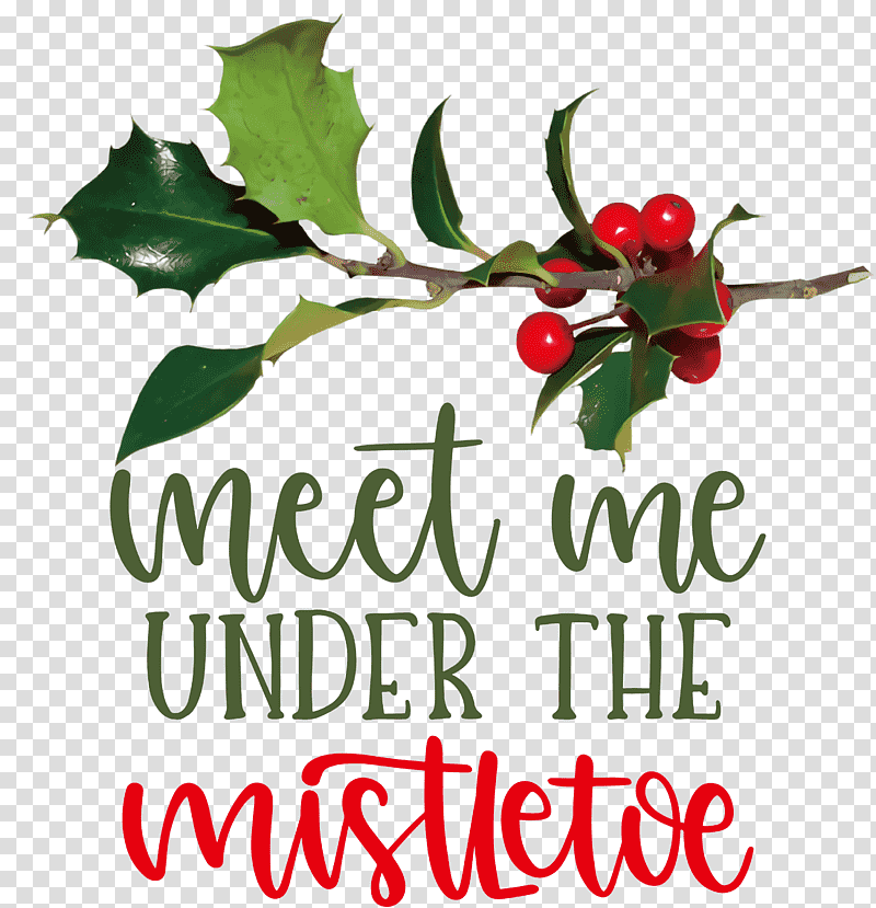 Meet Me Under The Mistletoe Mistletoe, Holly, Aquifoliales, Plants, Superfood, Natural Food, Meter transparent background PNG clipart