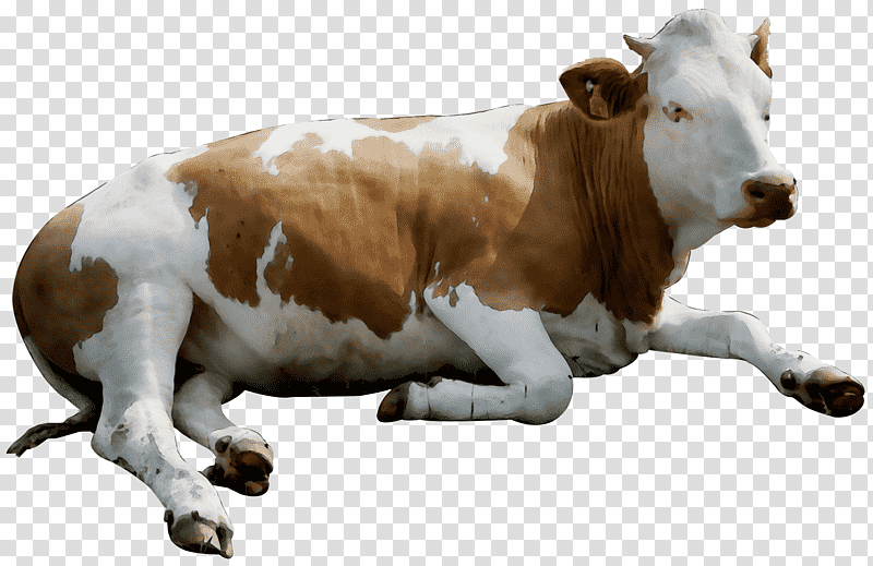goat calf live dairy cattle domestic water buffalo, Watercolor, Paint, Wet Ink, Live, Bull, Cow transparent background PNG clipart