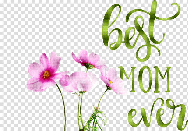 Mothers Day best mom ever Mothers Day Quote, Editing, Idea, Language transparent background PNG clipart
